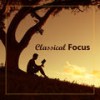 Debussy: Suite bergamasque, L.75 - Clair de lune In D Flat Major - Andante très expressif (Snippet) - Mischa Maisky&Daria Hovora