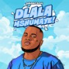 Dlala Mshumaye (feat. CowBoii) - Shazmicsoul&CowBoii