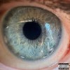 Sun (Explicit) - Real Jojo