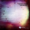 Shimmer (Original Mix) - Synthetic Epiphany