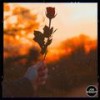 Her Love - Joe Wright