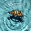 Motion (Original Mix) - Hibernate