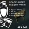 Space Sheep (Original Mix) - Ruggero Vanni