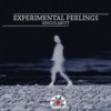 Singularity - Experimental Feelings