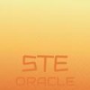 Intranet Deflection - Fetin Beles