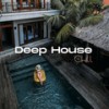 D.N.A (Original Mix) - Anton Ishutin&Nikita Malinin
