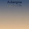 Aubergine Hydroxide - Gerd Gieri