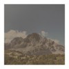 Inside the Forest - J.P. Velardi