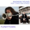 Funkytown - Andrew Young&Chris Odd&Rizle