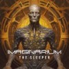 The Sleeper - Imaginarium
