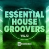 What You Got - Paul Damixie