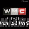Gotcha (Original Extended Mix) - Luke Damian