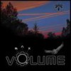 Bicycle Forest - Max Volume