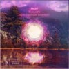 Nibbana (Volen Sentir's Pink Sky Retouch) - Proff&Volen Sentir