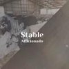Brainless Stake - Mayta Vher