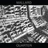 Groce - Mallard