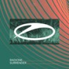 Surrender - Radion6