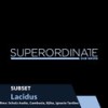 Lacidus (Gambusia Rmx) - SUBSET&Gambusia