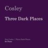 Dark Place II. - Dan Cosley