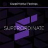 Stay Strong - Experimental Feelings