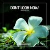 Ammunition (Extended Mix) - Dont Look Now