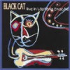 Red House - BLACK CAT