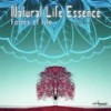 Lapse, a Little Snail (Ambient Version) - Natural Life Essence
