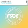 Flow Walker - James Dymond