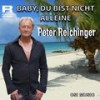 Baby, du bist nicht alleine - Peter Reichinger