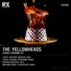 Omicrom - The YellowHeads