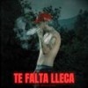TE FALTA LLECA (feat. Dj Coca) - Wonder ElBonitillo&dj coca